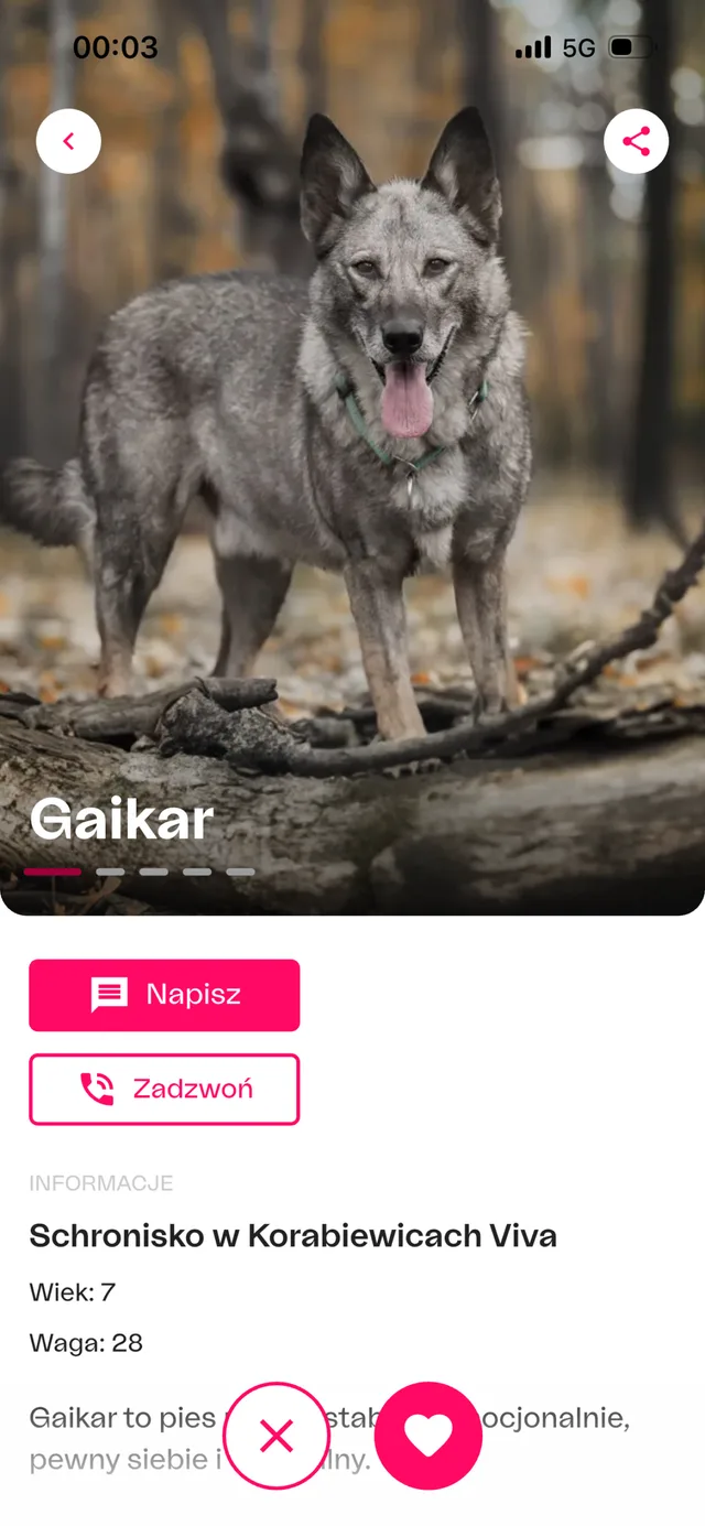 Profil psa Gaikar ze schroniska w Korabiewicach z przyciskami „Napisz” i „Zadzwoń”
